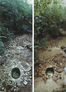 Andy Goldsworthy - Leaf Horn Laumier