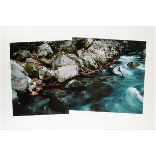 Andy Goldsworthy - River Edge, Leaf Line, Koshingawa River, Japan, 1990
