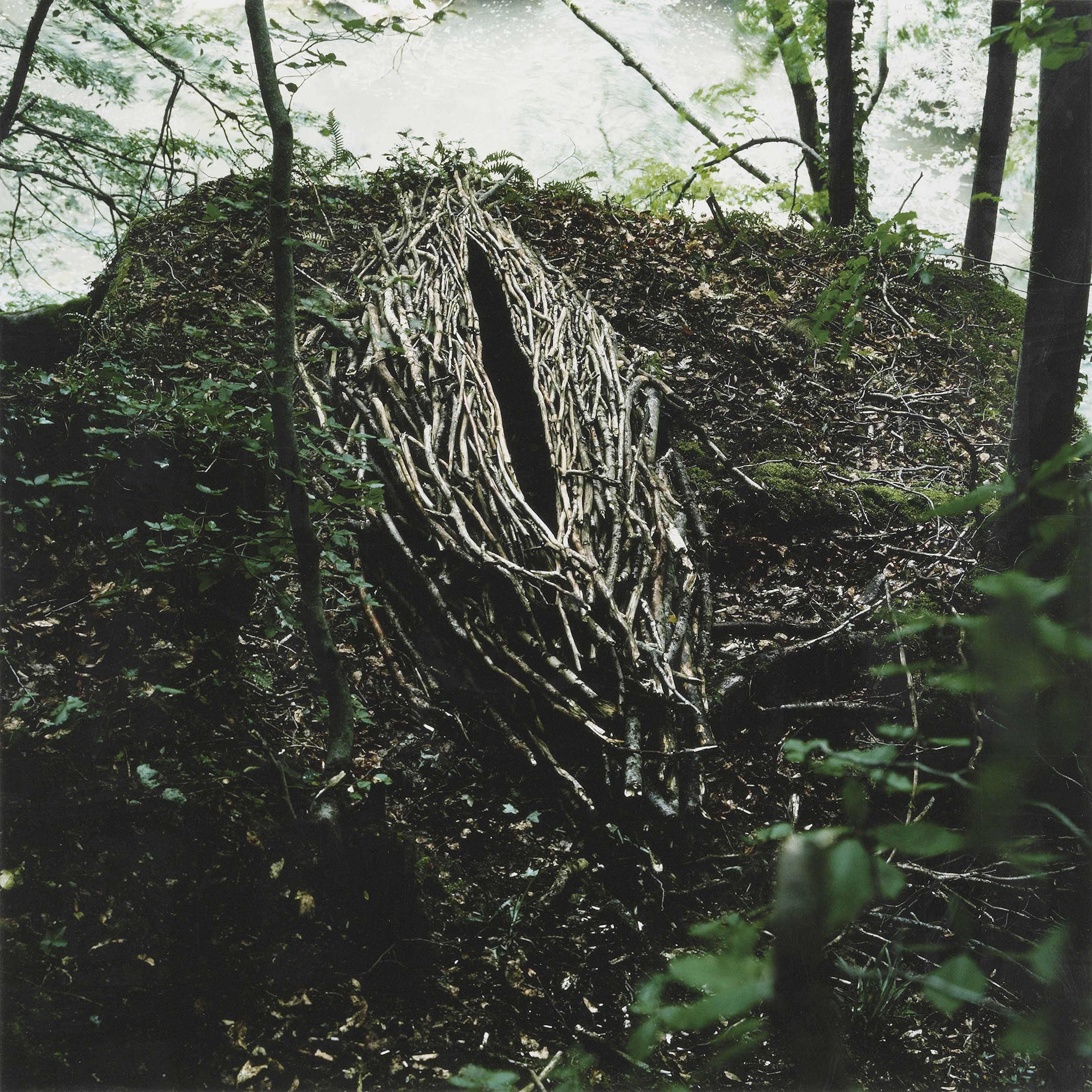 Andy Goldsworthy - Stacked Sticks