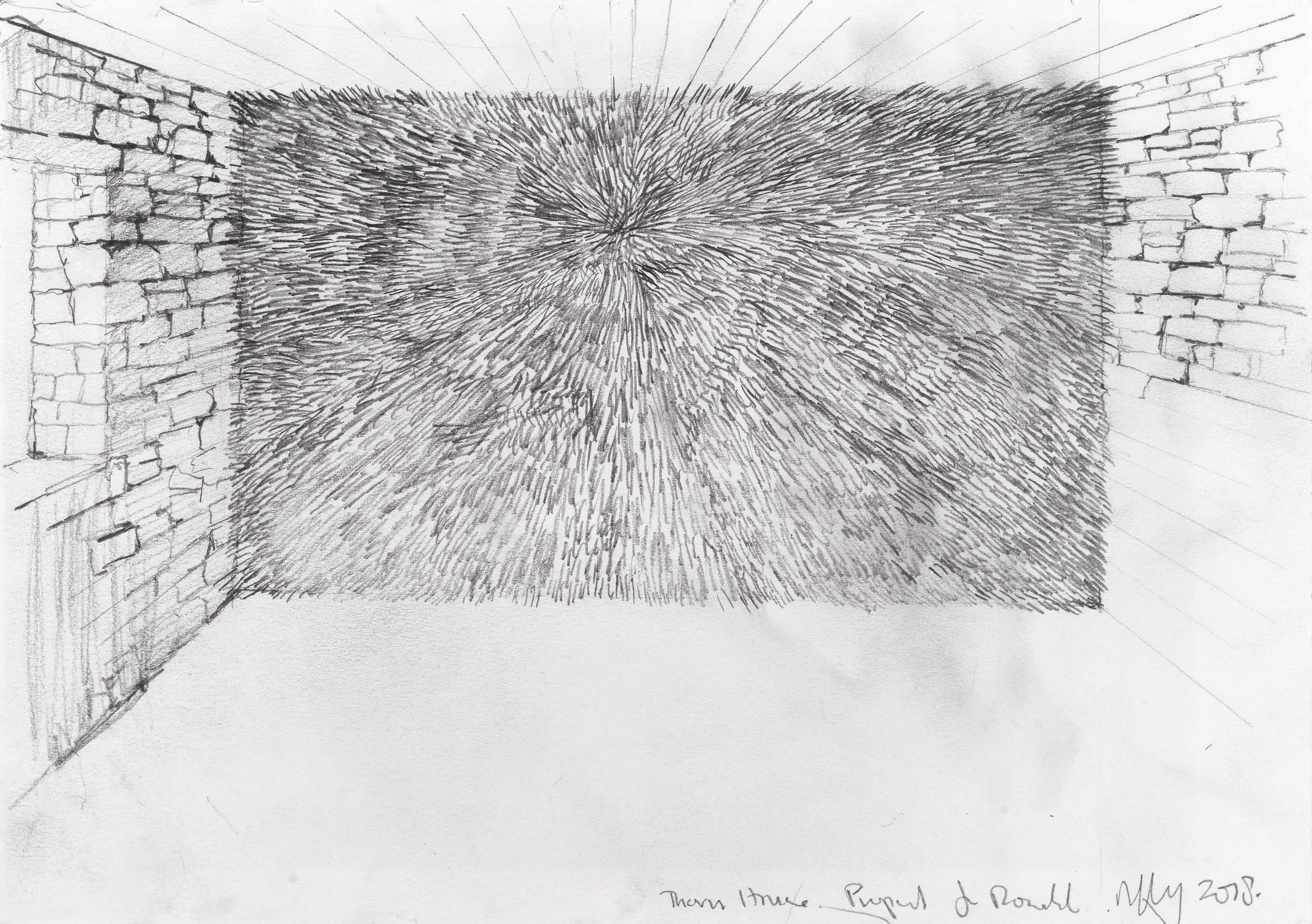 Andy Goldsworthy - Thorn House, Proposal for Rosedale