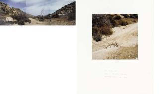 Andy Goldsworthy - Yucca Whipple Throw