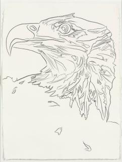 Andy Warhol - Bald Eagle