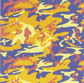 Andy Warhol - Camouflage (F. & S. Ii.412)