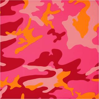 Andy Warhol - Camouflage (Feldman & Schellmann II.408)