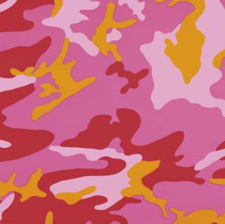 Andy Warhol - Camouflage : one plate
