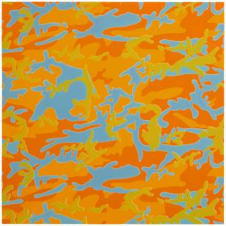 Andy Warhol - Camouflage: One Print