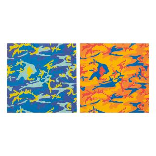 Andy Warhol - Camouflage (See F. & S. Iib.412)