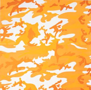 Andy Warhol - Camouflage