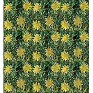 Andy Warhol - Daisies