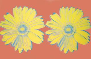Andy Warhol - Daisy