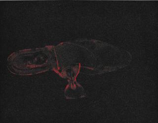 Andy Warhol - Diamond Dust Shoe