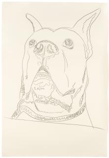 Andy Warhol - Dog