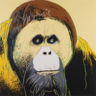 Andy Warhol - Endangered Species: Orangutan (F. & S. Ii.299)