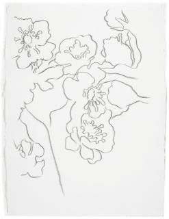 Andy Warhol - Flowers