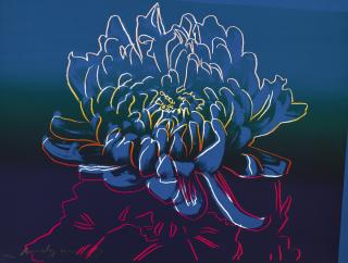 Andy Warhol - Kiku (F. & S. Ii.307)