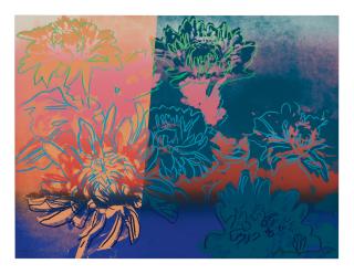 Andy Warhol - Kiku (Feldman & Schellmann Ii.309)