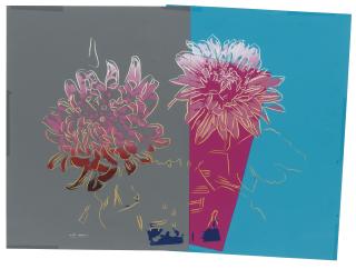 Andy Warhol - Kiku
