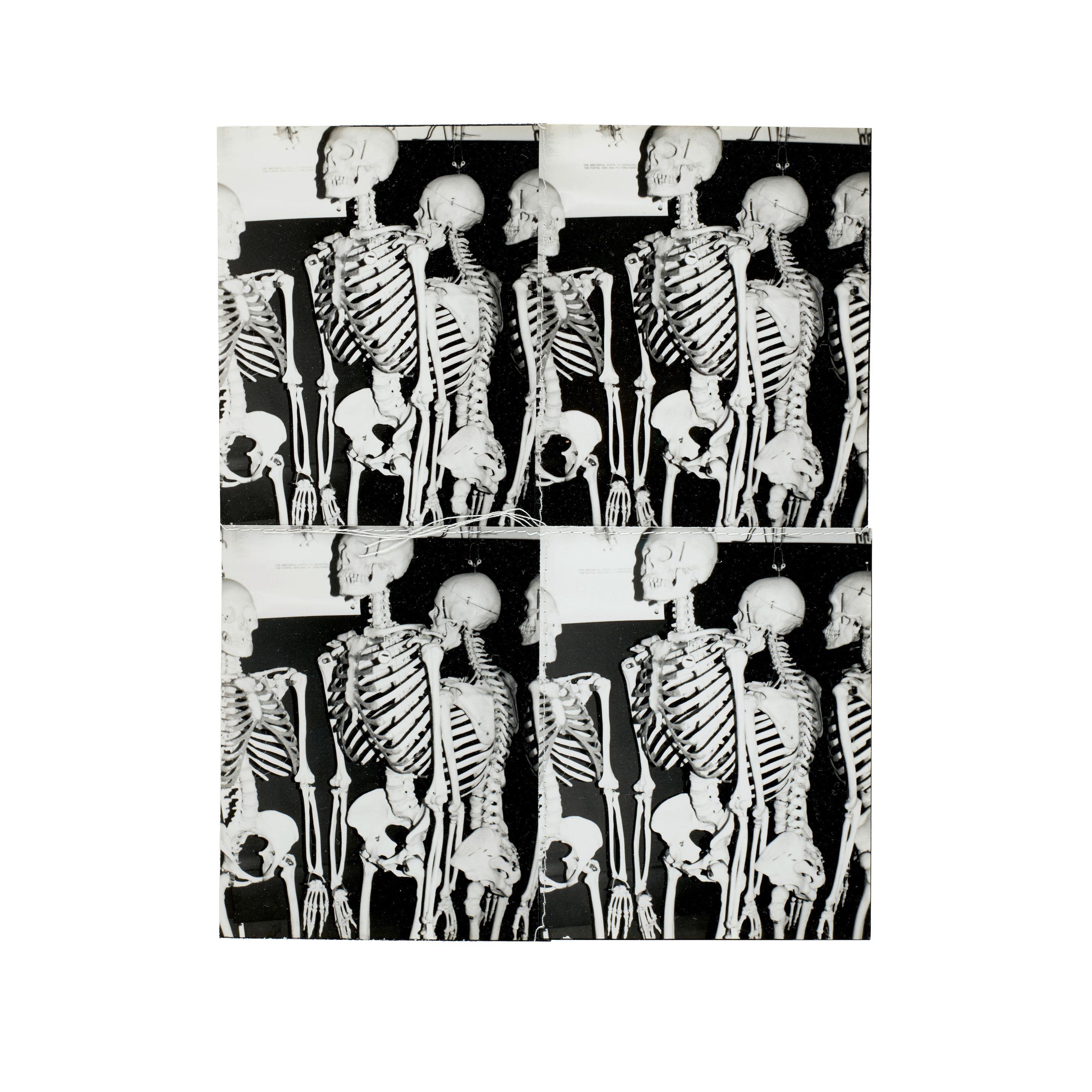 Andy Warhol - Parkett No. 12: Collaboration Andy Warhol (Deluxe Edition with Signed Photo Edition)