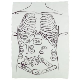 Andy Warhol - Physiological Diagram