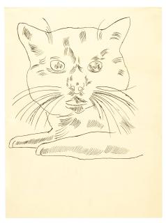 Andy Warhol - Portrait of Sam, 1956