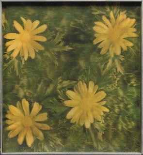 Andy Warhol - Rain & Flowers (detail of construction) (not in Feldman/Schellmann)