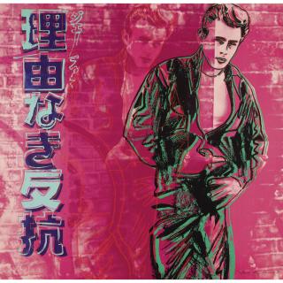 Andy Warhol - Rebel Without A Cause (F. & S. Ii.355)