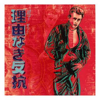 Andy Warhol - Rebel Without A Cause (James Dean) (F. & S. Ii.355)