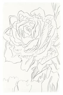 Andy Warhol - Rose