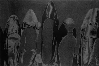 Andy Warhol - Shoes (Deluxe Edition) (F. & S. Ii.252)