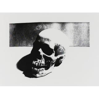 Andy Warhol - Skull