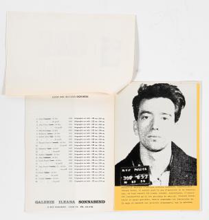 Andy Warhol - The Thirteen most wanted, 1967