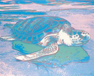 Andy Warhol - Turtle (F & S II.360A)