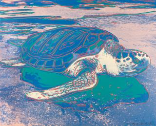 Andy Warhol - Turtle.