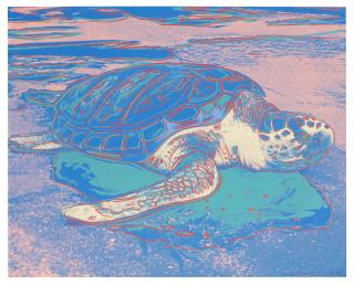 Andy Warhol - Turtle