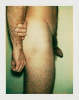 Andy Warhol - Untitled (Nude Male Model)