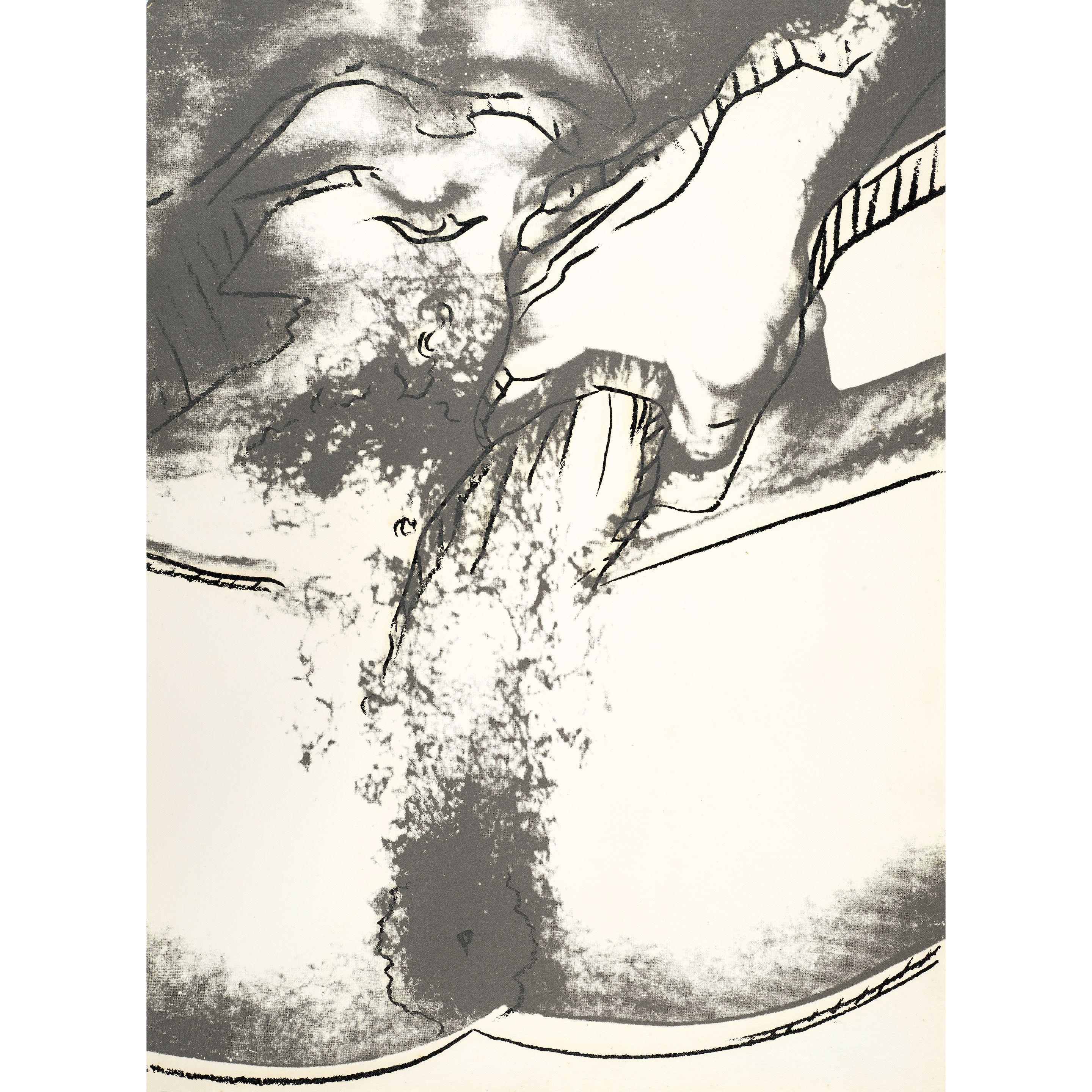 Andy Warhol - Untitled VI, from Sex Parts