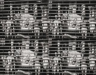 Andy Warhol - Untitled 