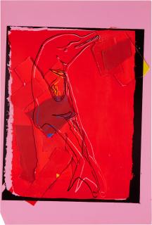 Andy Warhol - Vanishing Animals: La Plata River Dolphin