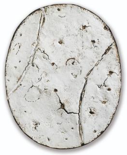 Angel Alonso - Sans Titre