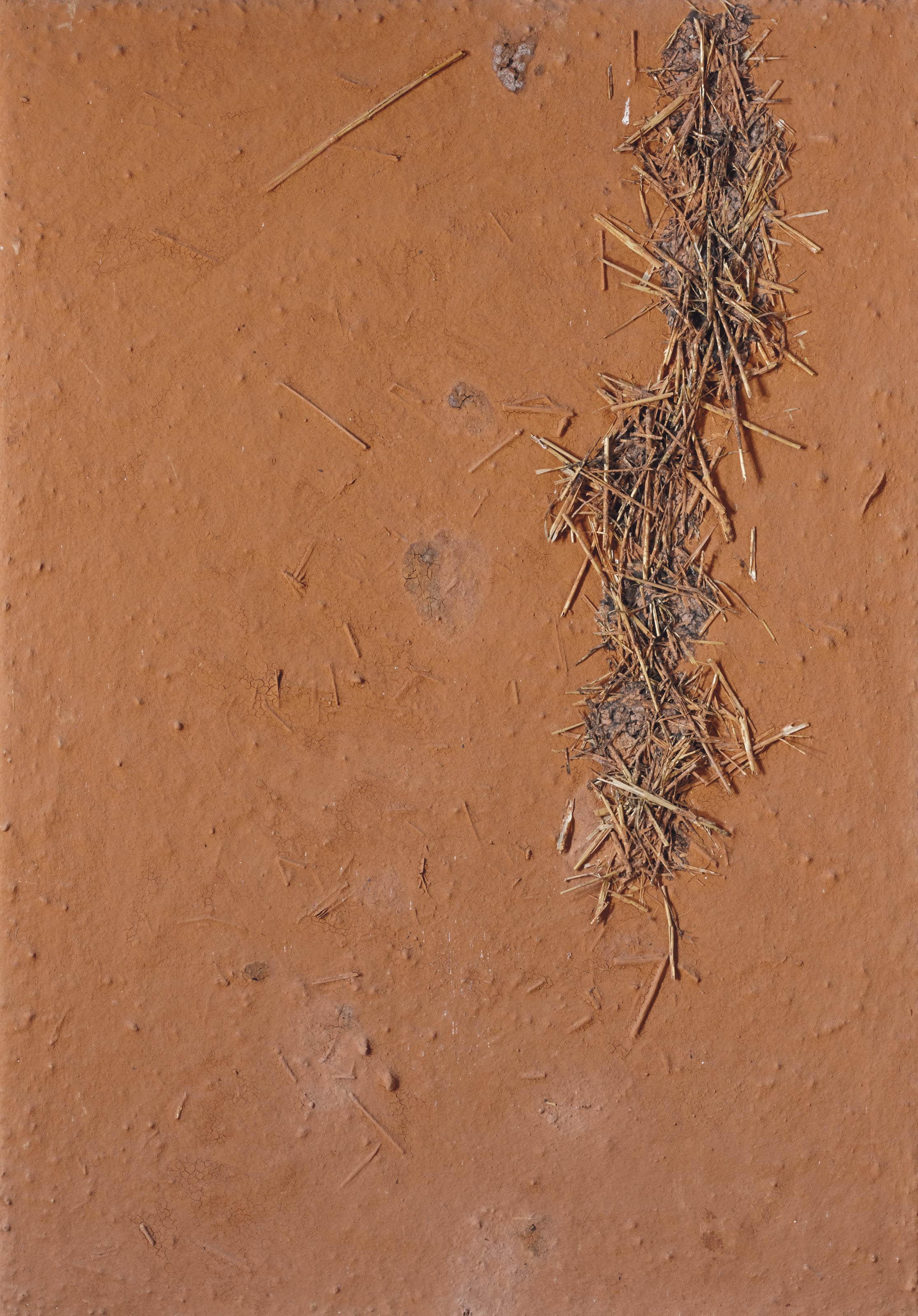 Angel Alonso - Terre Provence (Terre rouge et paille)