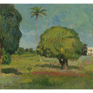 Ángel Botello - Paisaje De Santo Domingo