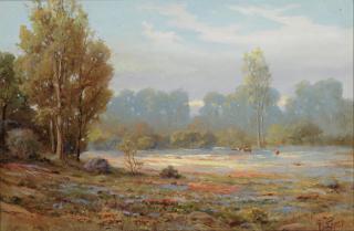 Angel Espoy - California Wildflowers in Bloom 15 x 23in