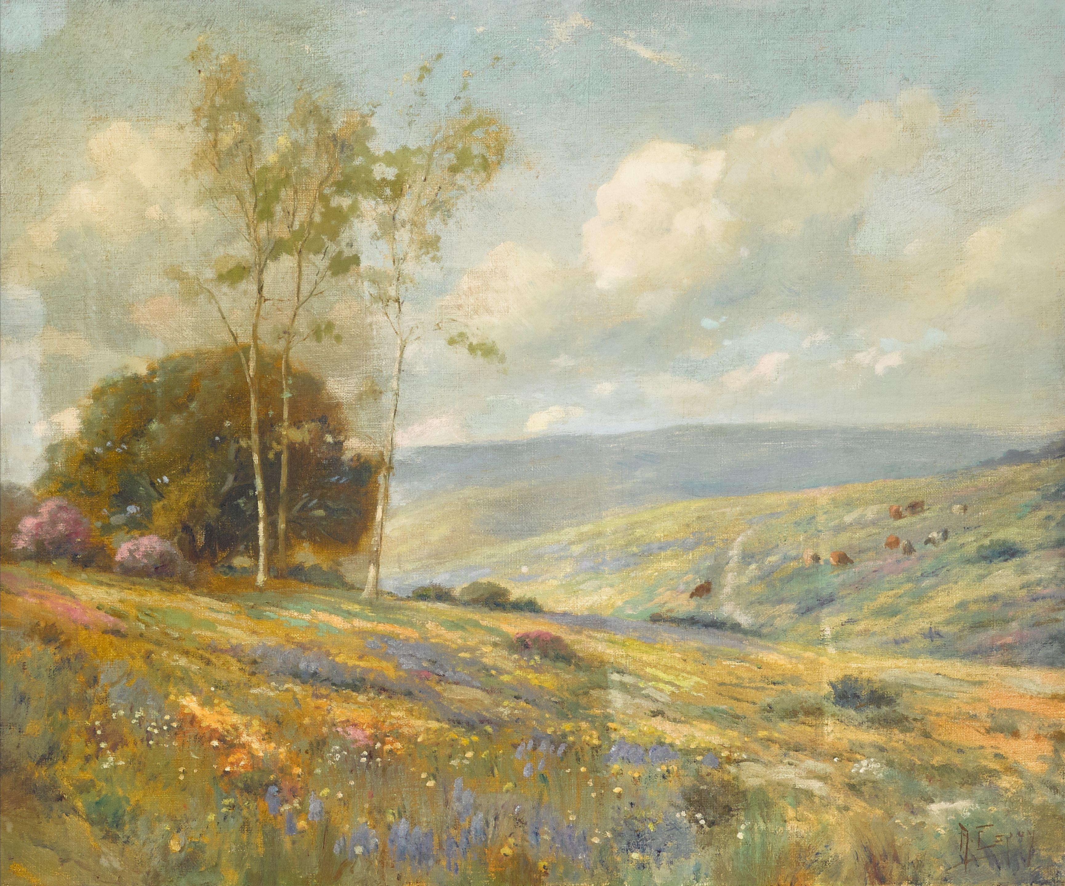 Angel Espoy - California wildflowers