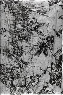 Angel Otero - Untitled (SK-FV)