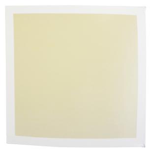 Àngela de la Cruz - Tight (White/Cream)