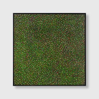 Angelina Pwerle - Plum story mosquito Bore Utopia