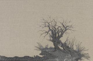 Angelo Filomeno - Haunted Land (Olive Tree)