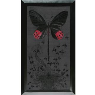 Angelo Filomeno - Shitting Baroque (Atrophaneura Horishana)