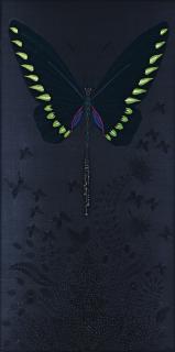 Angelo Filomeno - Shitting Baroque (Tronogoptera Trojana)