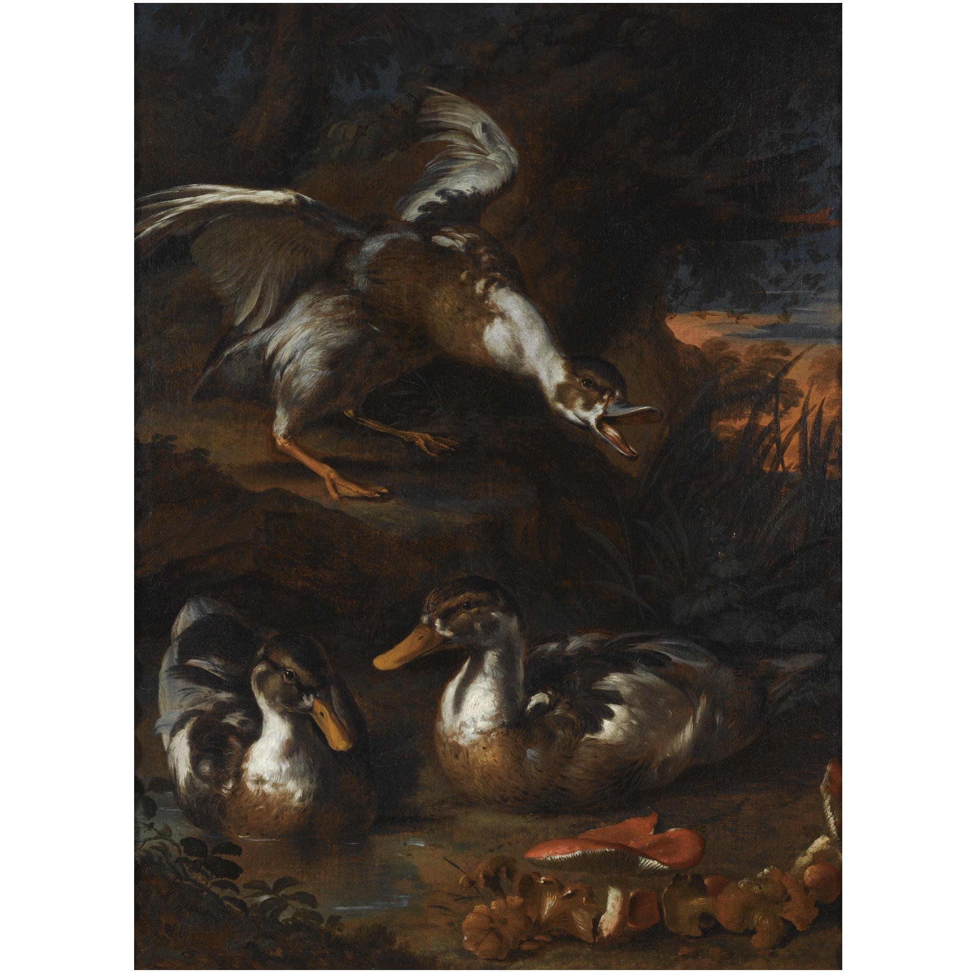 Angelo Maria Rossi - Three Ducks In A Wooded Landscape, Wild Mushrooms In The Foreground